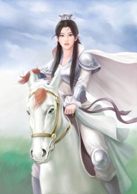 选妃记