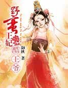 野蛮王妃酷王爷