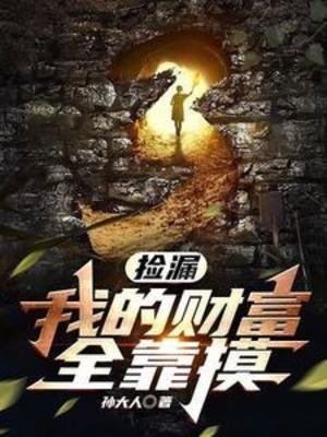 撿漏:我的財富全靠摸