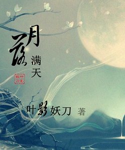 异世之月落满天
